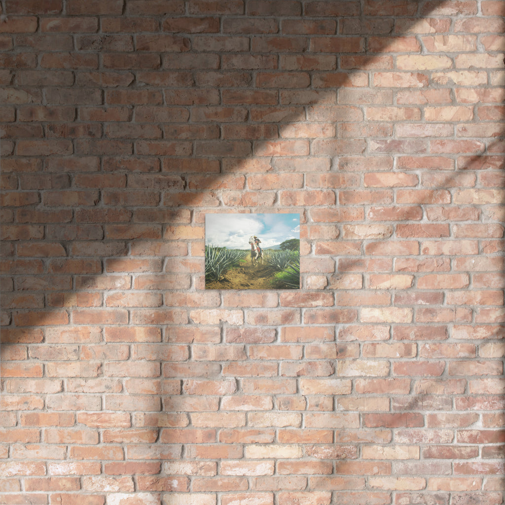 Fotografía en metal de agaves mexicanos — MX ART"